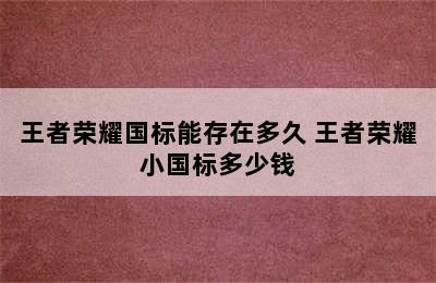 王者荣耀国标能存在多久 王者荣耀小国标多少钱